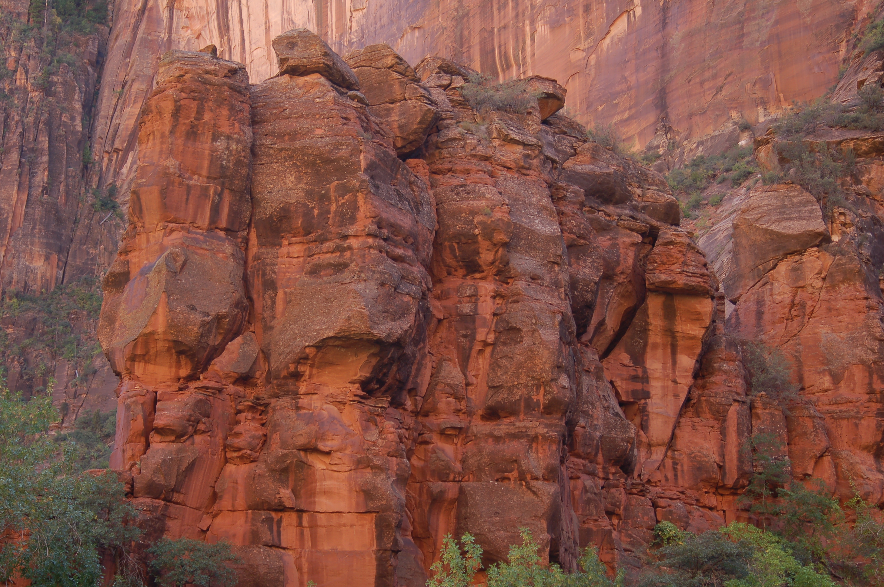 Zion NP